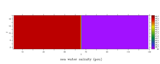 Intial density state for the Lock Exchange experiment