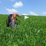 Coteaux_RelevéBotanique_AOuin