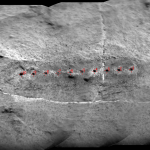 RMI mosaic