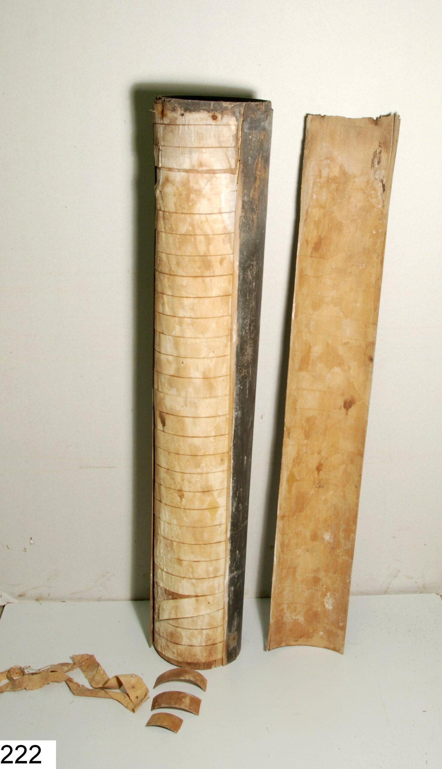 Tube de lunette