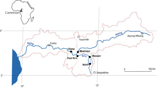 Carte du bassin amont du Nyong